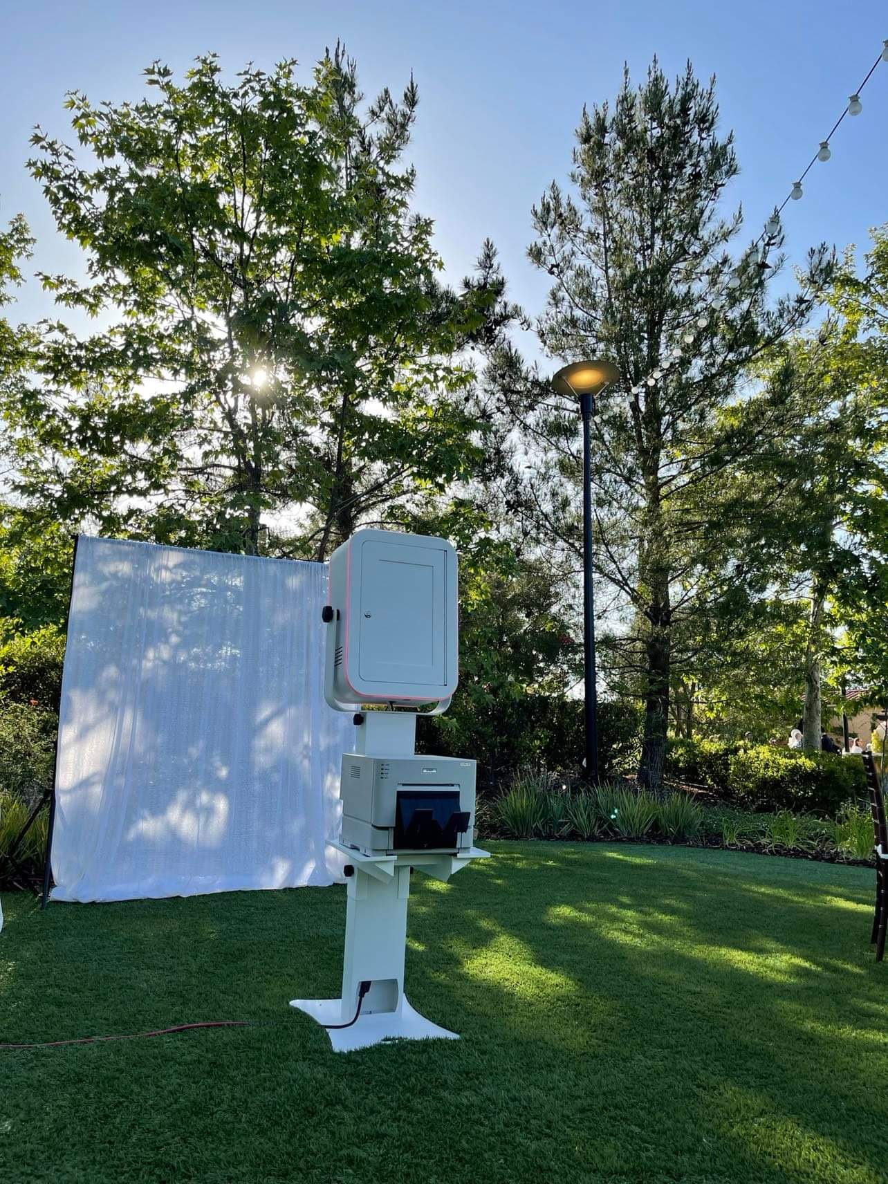 A camera setup for outdoor photography with a white backdrop and trees in the background.